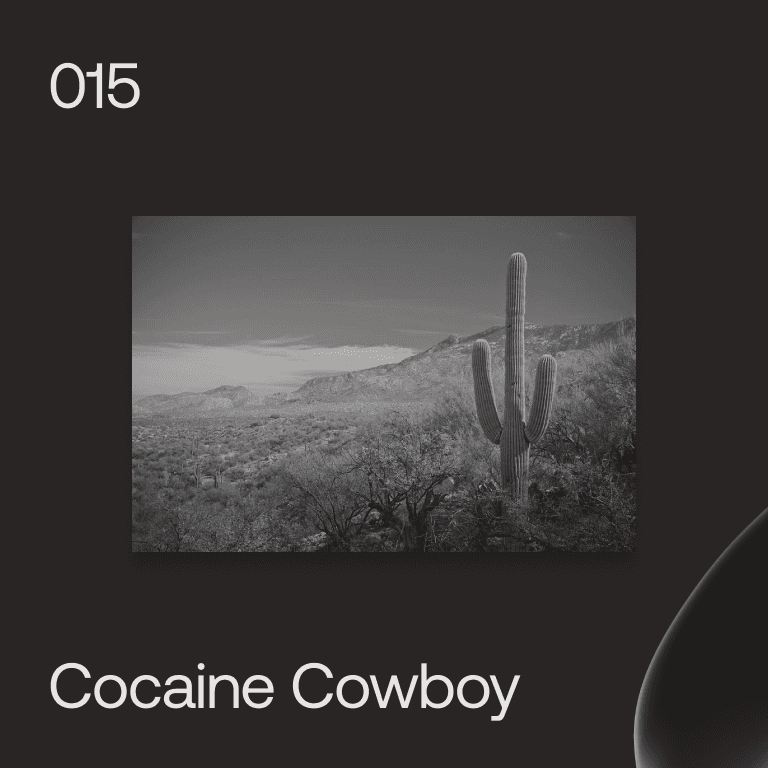 015 - Cocaine Cowboy